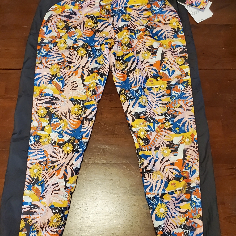 The north face track pants